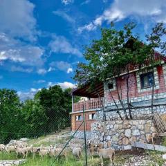 Mountain Village House