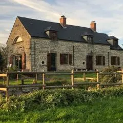 Mare aux nénuphars