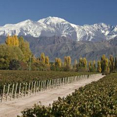 Hermoso departamento en Mendoza