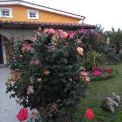 La casetta di samba