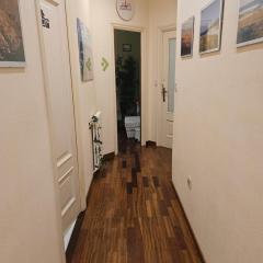 Habitacion amplia y centrica en piso compartido