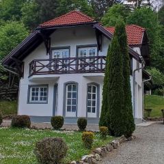 Casa Bănucu