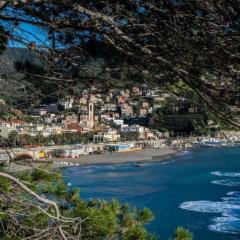 Residence Paradiso Monolocale 305