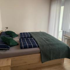 Ferienwohnung Bergblick