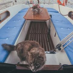Lady Blue Yacht in Nida