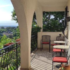 Villa Zdenko Apartment with Sea view