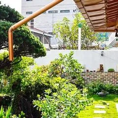 꽃밭 정원이 예쁜집 좋은 날