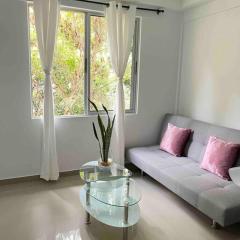 Apartamento en zona rosa Granada