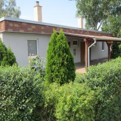 Silver Apartman Patince