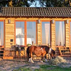 La vie en Rose - Pet friendly Tiny house in the nature with fenced garden