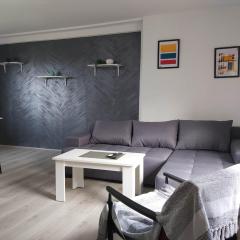 Apartman Natasa Sokobanja