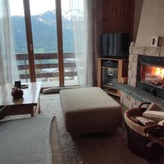 Appartement au pied des télécabines