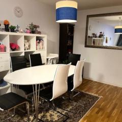 Apartment in Sandvika, 15 minutes from Oslo.