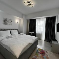 Relaxing and Beautiful Apartments in Centre of Historical Suceava