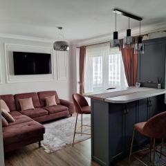 Luxury and Stylish One-B Apartment Suceava