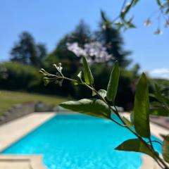 La Colline de Tilleul - Les Tilleuls - 4 STAR RATED - luxury cottage near Aubeterre in idyllic location