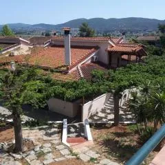Villa - Farmhouse