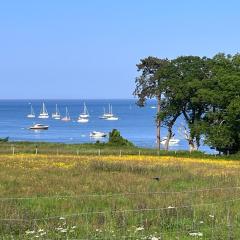 Studland View Cottage