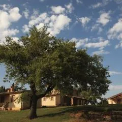 Agriturismo Belvedere Di Pierini E Brugi