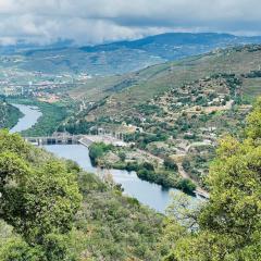 Quinta da Pinguinha - Douro