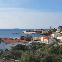 Little home