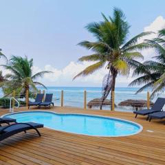 Snorkeler's Paradise - Beach Plum Villa