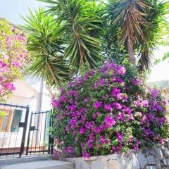 Casa Fetovaia - HelloElba