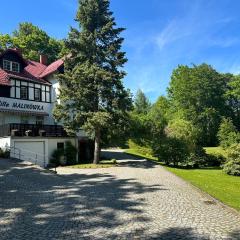 Willa Malinówka - ogród wypoczynkowy z widokiem na Śnieżkę