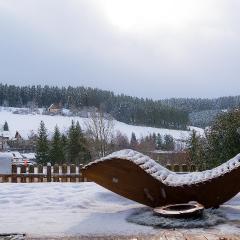 Entire House in Schwarzwald with mountain view, private Sauna, Gym, Garden and Terraces