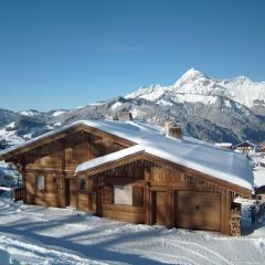 Confortable chalet 12 personnes avec WiFi et parking, près des pistes - FR-1-733-25