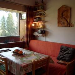 Studio-mezzanine avec rangements près des pistes, balcon, parking et équipements complets à Crest-Voland - FR-1-733-113