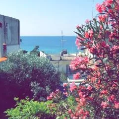 Paradise view