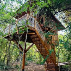 Tamarindo Pura Selva Eco Tree House