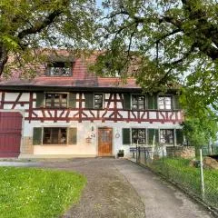 Dreher Hof Salem