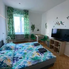Jungle Rooms