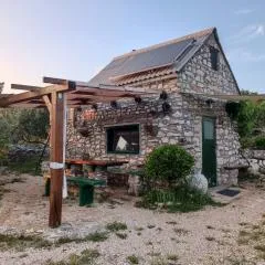 Mrdina house
