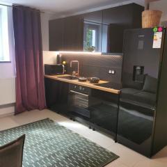 Mrągowski Apartament 1