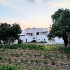 Masseria Piccole Taverne