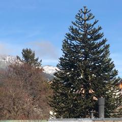 DEPARTAMENTOS Silvia