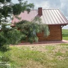 Nad żabim stawem