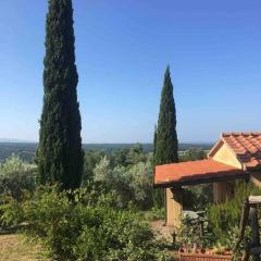 Casa Belvedere -tranquillità tra bosco e ulivi-