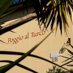 Agriturismo Poggio al Turco - Terrace View - a76163