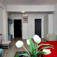 Garsonieră Centrul Bucureştiului