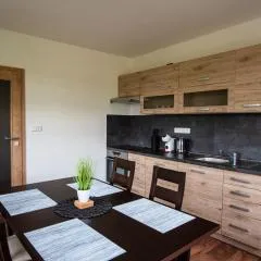 Apartmány Slavíkov - Simple Suite