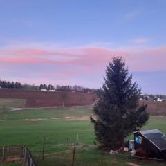 Ferienwohnung Wiesenblick in Seiffen