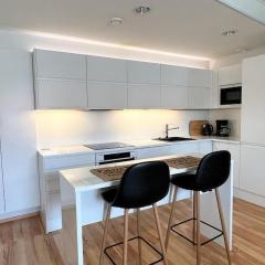Spacious and Stylish Penthouse in Downtown Rovaniemi