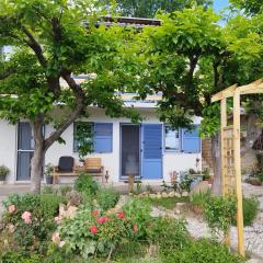 Apartma Salvia-Guest House