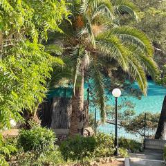 Playa d'Or 16 / Cala D'Or / Mallorca