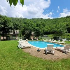 Village 17 gites, Piscine, Restaurant , 2 gites avec SPA, 3km de Conques