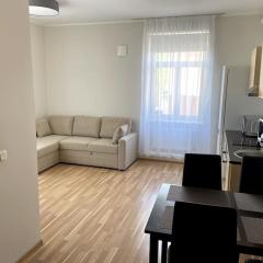 Cozy apartment near the city center, Lembitu